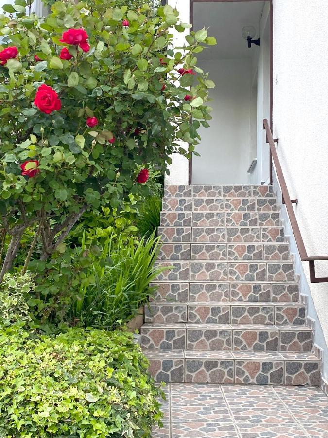 Apartment Loyd, Tolmin - Most Na Soci Exterior photo